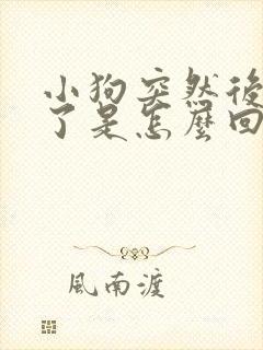 小狗突然后腿瘸了是怎么回事