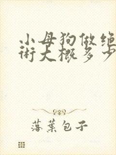 小母狗做绝育手术大概多少钱一次