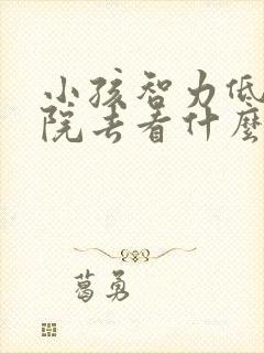 小孩智力低去医院去看什么科室