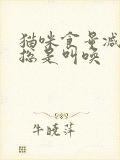 猫咪食量减少且总是叫唤