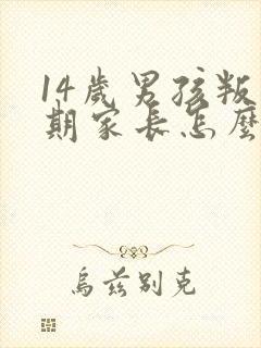 14岁男孩叛逆期家长怎么办?