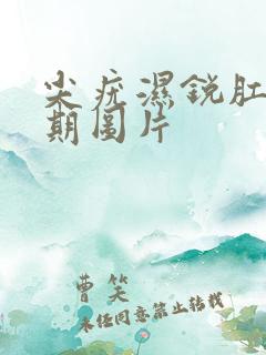 尖疣湿锐肛内早期图片