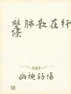 双肺散在纤维索条