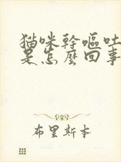 猫咪干呕吐白沫是怎么回事