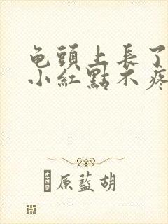 龟头上长了好多小红点不疼不痒