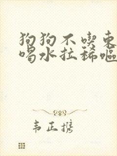 狗狗不吃东西只喝水拉稀呕吐