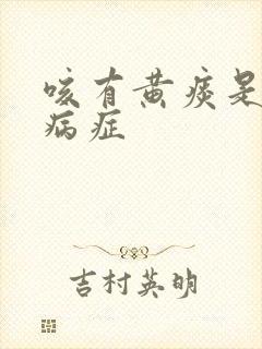 咳有黄痰是什么病症