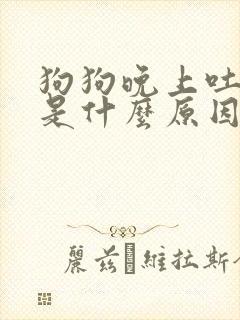 狗狗晚上吐黄水是什么原因怎么办