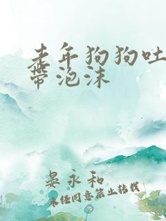 老年狗狗吐黄水带泡沫