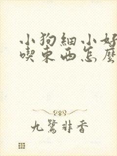 小狗细小好了不吃东西怎么办