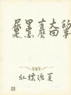 尿里有大的泡泡是怎么回事