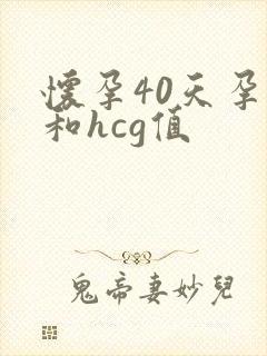 怀孕40天孕酮和hcg值