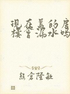 现在盖的房子顶楼会漏水吗