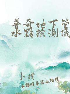 普奇地下管道漏水点检测仪