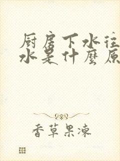 厨房下水往上反水是什么原因