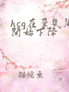 hcg在孕几周开始下降