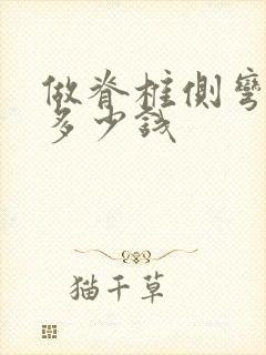 做脊椎侧弯手术多少钱