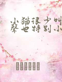 小猫很少叫 叫声也特别小