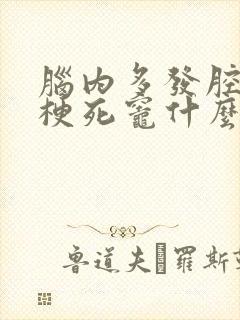 脑内多发腔隙性梗死灶什么意思