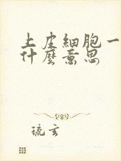 上皮细胞一个加什么意思