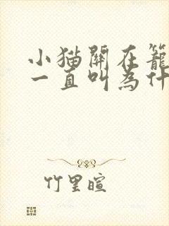 小猫关在笼子里一直叫为什么