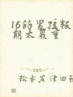 16的男孩叛逆期太严重