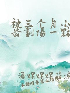 被三个月小狗牙齿划伤一点皮出血有事吗