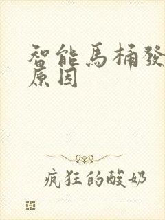 智能马桶发臭的原因