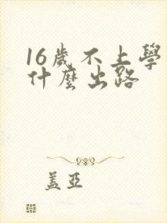 16岁不上学有什么出路