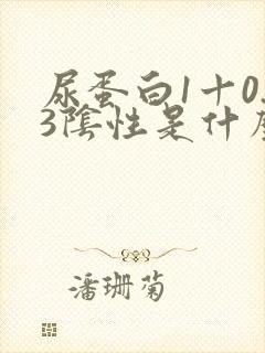 尿蛋白1十0.3阴性是什么意思