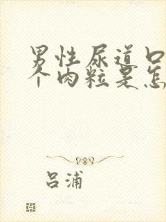 男性尿道口长了个肉粒是怎么回事