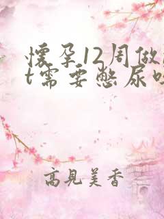 怀孕12周做nt需要憋尿吗