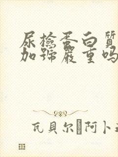 尿检蛋白质一个加号严重吗