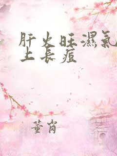 肝火旺湿气重脸上长痘