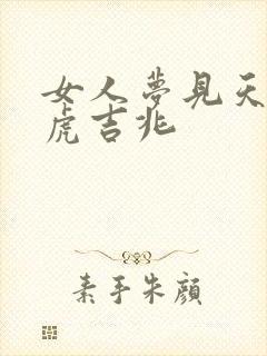 女人梦见天空老虎吉兆