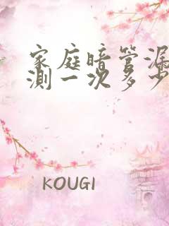 家庭暗管漏水检测一次多少钱