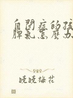 自闭症的孩子发脾气怎么办