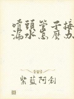 喷头管子接口处漏水怎么办