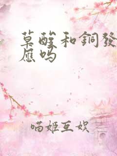 草酸和铜发生反应吗