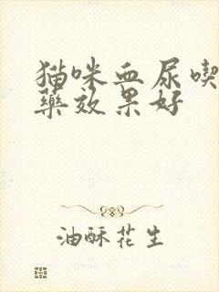 猫咪血尿吃什么药效果好