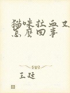 猫咪拉血又吐是怎么回事