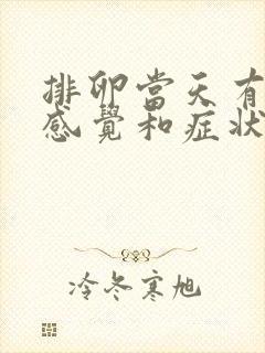 排卵当天有什么感觉和症状