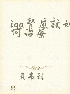 iga肾应该如何治疗