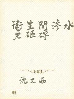 卫生间渗水补漏免砸砖