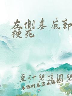 左侧基底节区腔梗死