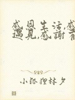 感恩生活,感谢遇见,感谢有你