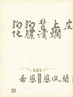 狗狗背上皮肤病化脓溃烂