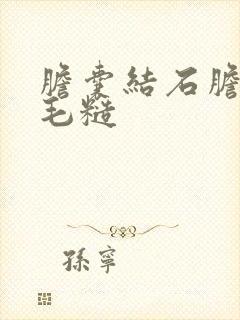 胆囊结石胆囊壁毛糙