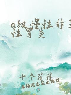 a级慢性非萎缩性胃炎