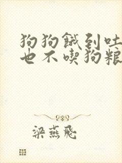 狗狗饿到吐黄水也不吃狗粮